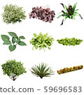 彩礁園林植物摳圖 59696583