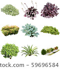 彩礁園林植物摳圖 59696584