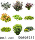 彩礁園林植物摳圖 59696585