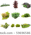 彩礁園林植物摳圖 59696586