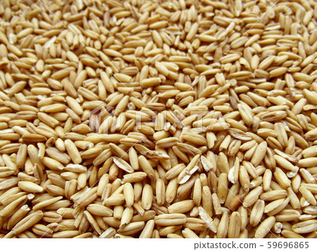 Dry oat. Dry oat. 59696865