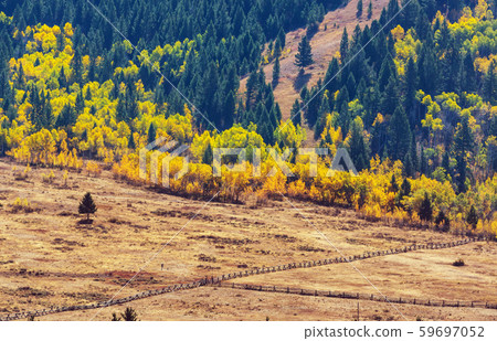 Autumn meadow 59697052