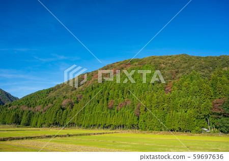 滋賀縣，湖北地區秋季農村和里山，11月 59697636