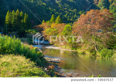 Takatoki River in autumn, a clear stream in the Hubei region of Shiga prefecture 59697637