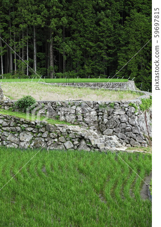 Tanada of Iwazajin Tanada of Iwazajin 59697815