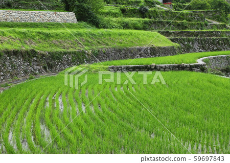 Tanada of Iwazajin Tanada of Iwazajin 59697843