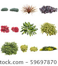 彩葉花園組種植 59697870