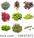彩葉花園組種植 59697872