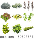 彩葉花園組種植 59697875