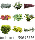 彩葉花園組種植 59697876