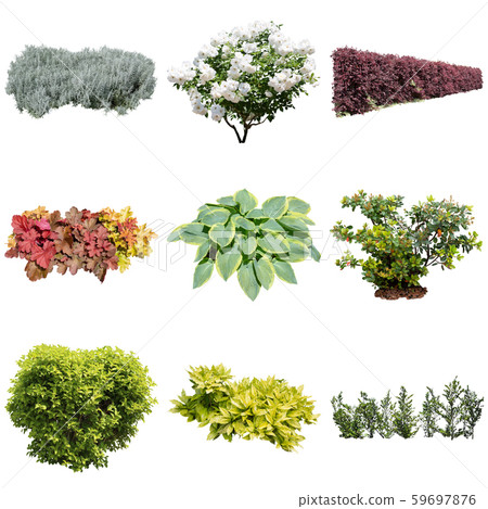 彩葉花園組種植 彩葉花園組種植 59697876