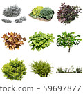 彩葉花園組種植 59697877