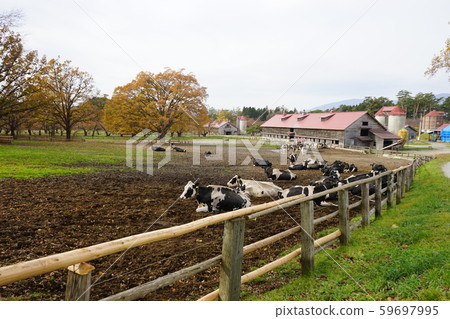 Autumn of Koiwai Farm 59697995