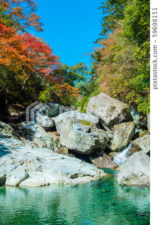 秋天的落葉和藍色 秋天的落葉和藍色 59698151