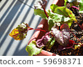 On the veranda of the housing complex 59698371