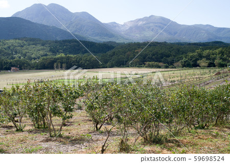 飯田高原牧場和九州山脈 飯田高原牧場和九州山脈 59698524