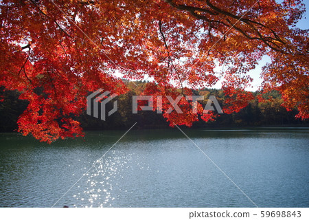 Yamanashi Prefecture Ichikawa Misato-cho (Lake Yoo) Yamanashi Prefecture Ichikawa Misato-cho (Lake Yoo) 59698843