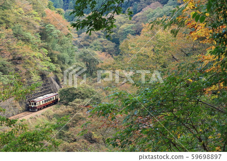 Watarase Gorge Railway "Train that goes through the mountainous area that has started to change color" 59698897
