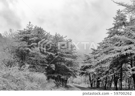 Road to Beopjusa 59700262