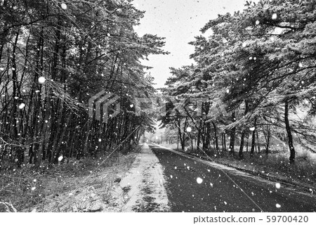 line of vision 59700420