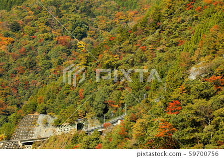 Autumn leaves valley 59700756
