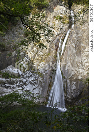 Nunobiki Falls Otaki (Chuo Ward, Kobe City, Hyogo Prefecture) 59701507