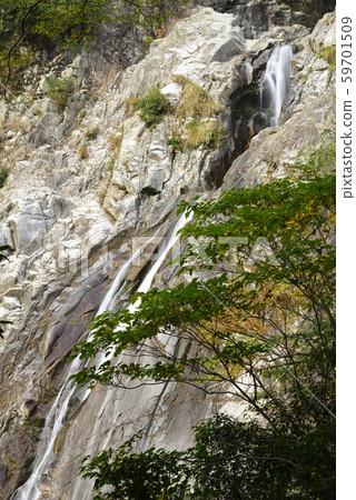 Nunobiki Falls Otaki (Chuo Ward, Kobe City, Hyogo Prefecture) 59701509