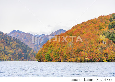 Lake Okutadami excursion course autumn 59701638