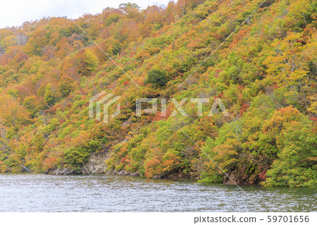 Lake Okutadami excursion course autumn 59701656