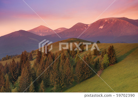 Summer landscape 59702390