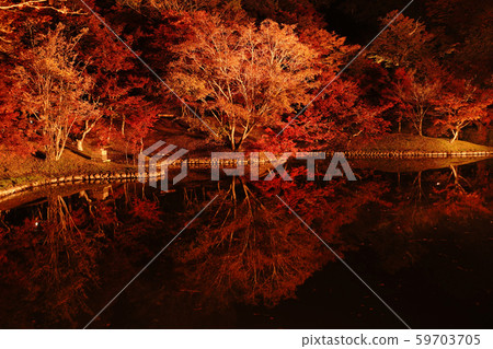 秋葉照亮的公園 59703705