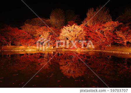 A park with autumn leaves shining beautifully illuminated A park with autumn leaves shining beautifully illuminated 59703707