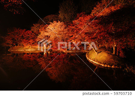 A park with autumn leaves shining beautifully illuminated 59703710