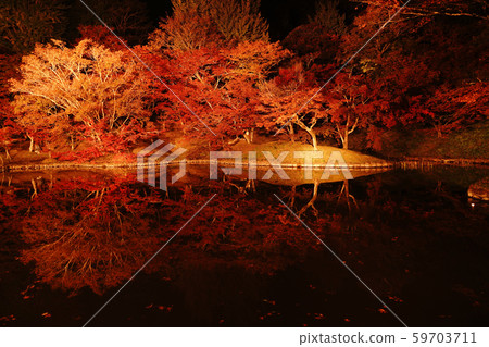 A park with autumn leaves shining beautifully illuminated 59703711
