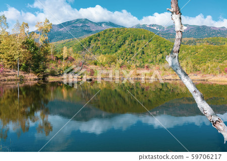 Maimenoike：秋天：Norikura山：一瀨花園，Azumi，松本 59706217