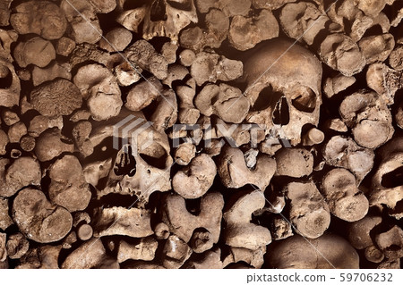Skulls and bones in a wall 59706232