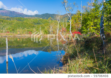 舞女池塘：秋天：一之瀨花園，松本淳 59706408