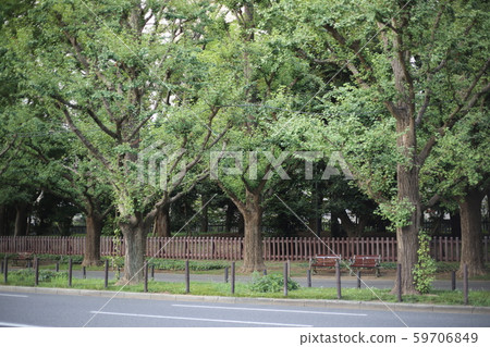 銀杏aki 銀杏aki 59706849