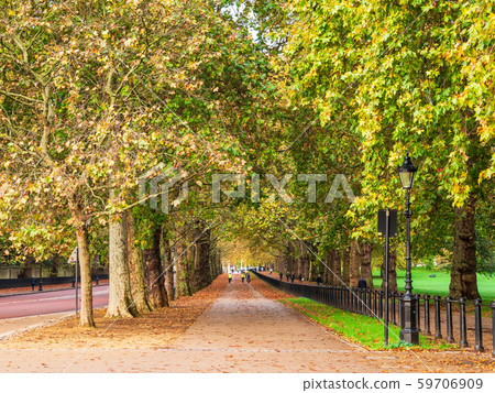 秋季倫敦綠色公園 59706909