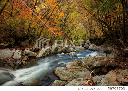 秋季瀑布T川谷 秋季瀑布T川谷 59707703