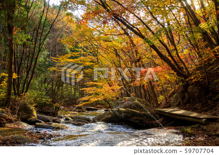 瀧川谷的淪陷 59707704