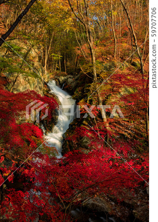 瀧川谷玲子的嘴瀑布 59707706