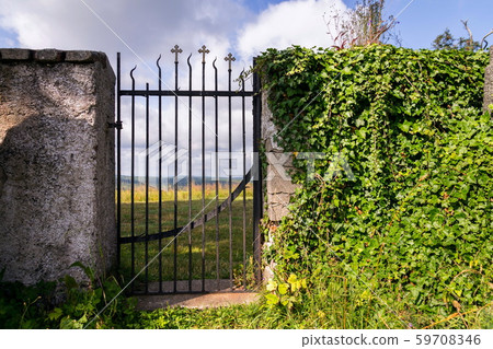 Beautiful small iron crossed fence decoration, graveyard gate with green woods, life and death Beautiful small iron crossed fence decoration, graveyard gate with green woods, life and death 59708346