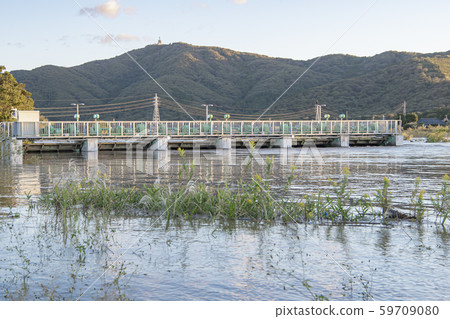 Tadobe weir 2019 typhoon Tadobe weir 2019 typhoon 59709080