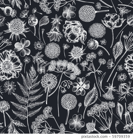 Seamless pattern with hand drawn chalk shepherd's purse, heather, fern, wild garlic, clover Seamless pattern with hand drawn chalk shepherd's purse, heather, fern, wild garlic, clover 59709359
