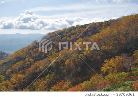 Autumn leaves of Ginsendai (Hokkaido, Kamikawa Town, Daisetsuzan) 59709361