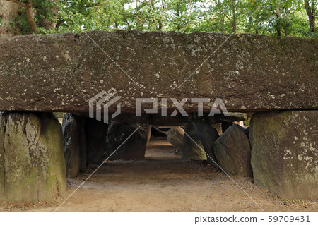 Dolmen La Roche-aux-Fees - Fairies Rock Dolmen La Roche-aux-Fees - Fairies Rock 59709431