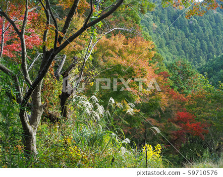 Mt. Takao, Tokyo, Japan Mt. Takao, Tokyo, Japan 59710576