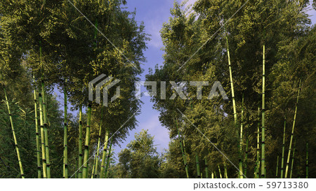 Beautiful decarative bamboo forest 3d rendering Beautiful decarative bamboo forest 3d rendering 59713380