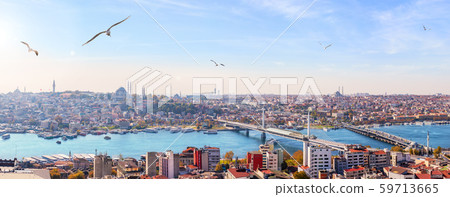 Metro bridge, the Ataturk Bridge and the skyline Metro bridge, the Ataturk Bridge and the skyline 59713665